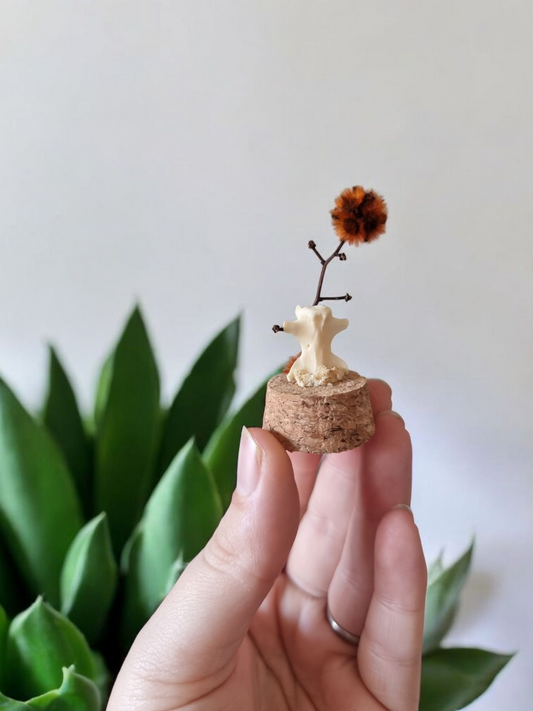 Small Bone Dome #2