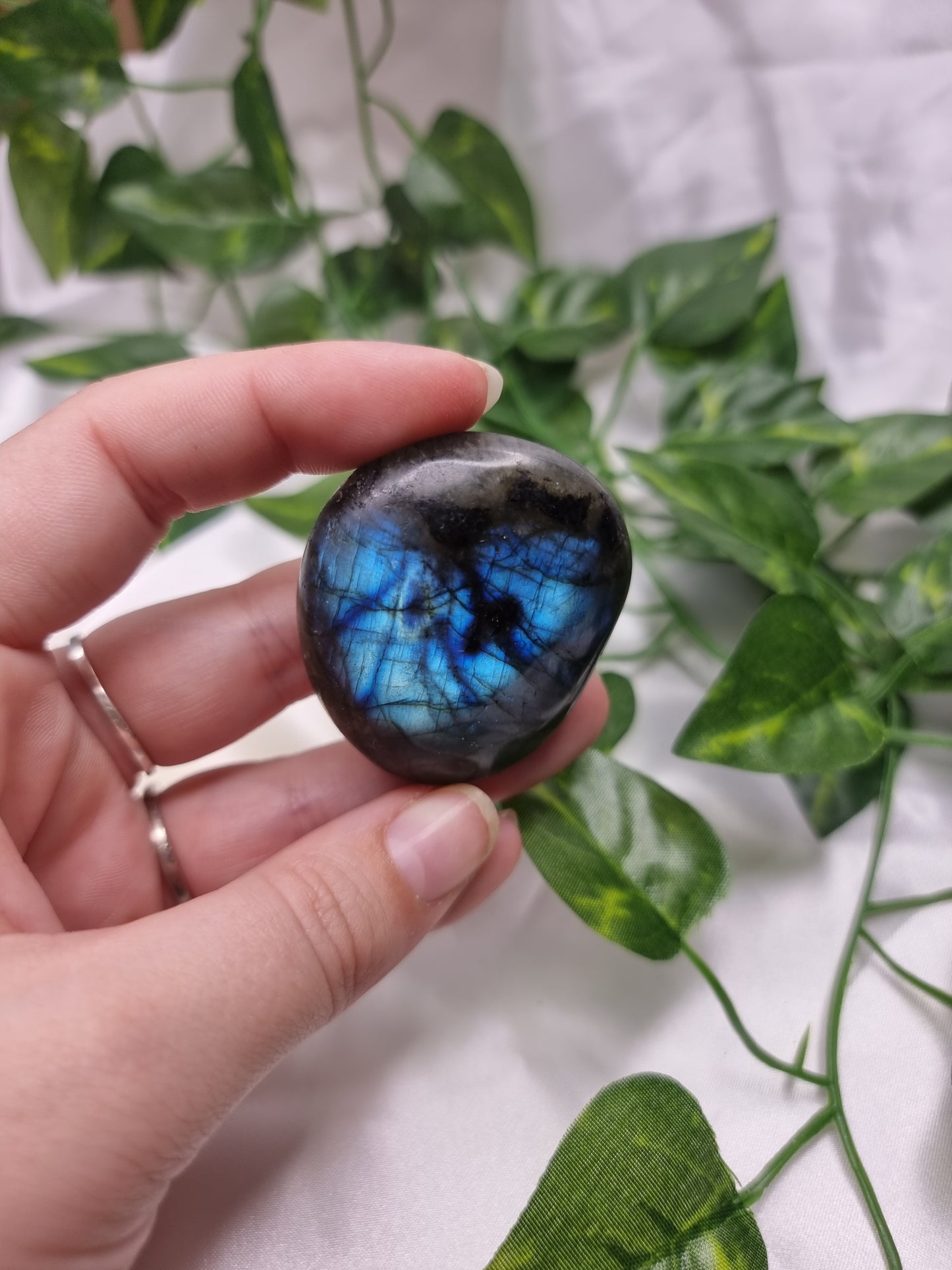 Labradorite Palm #2