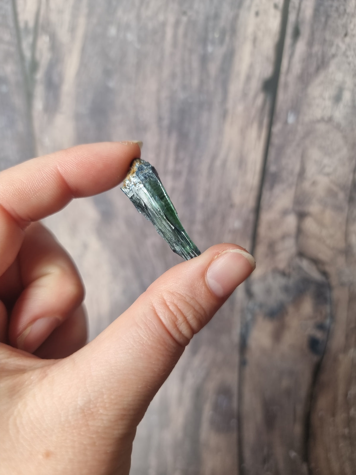 Corpse Crystal (Vivianite) #8.1