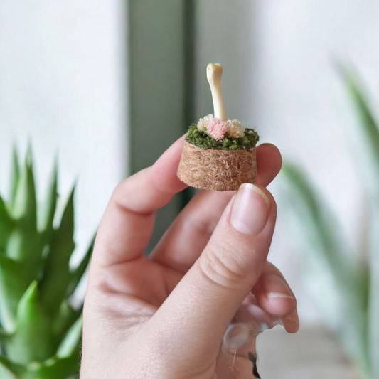 Mini Bone Dome #2