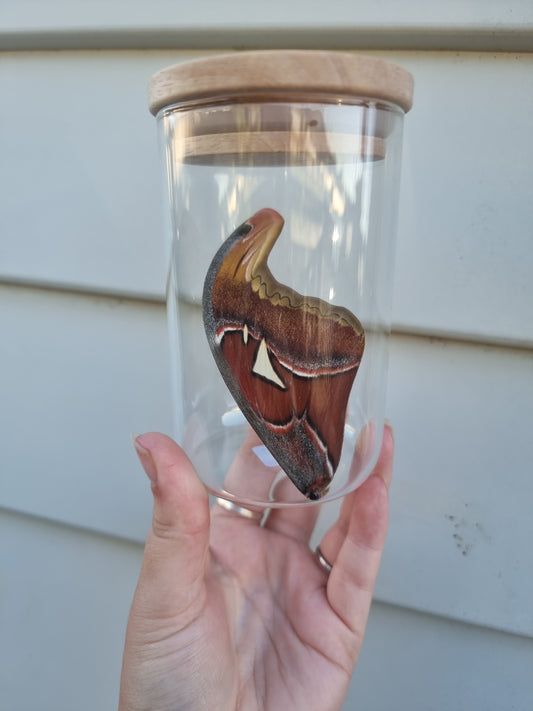 XXL Wing Jar