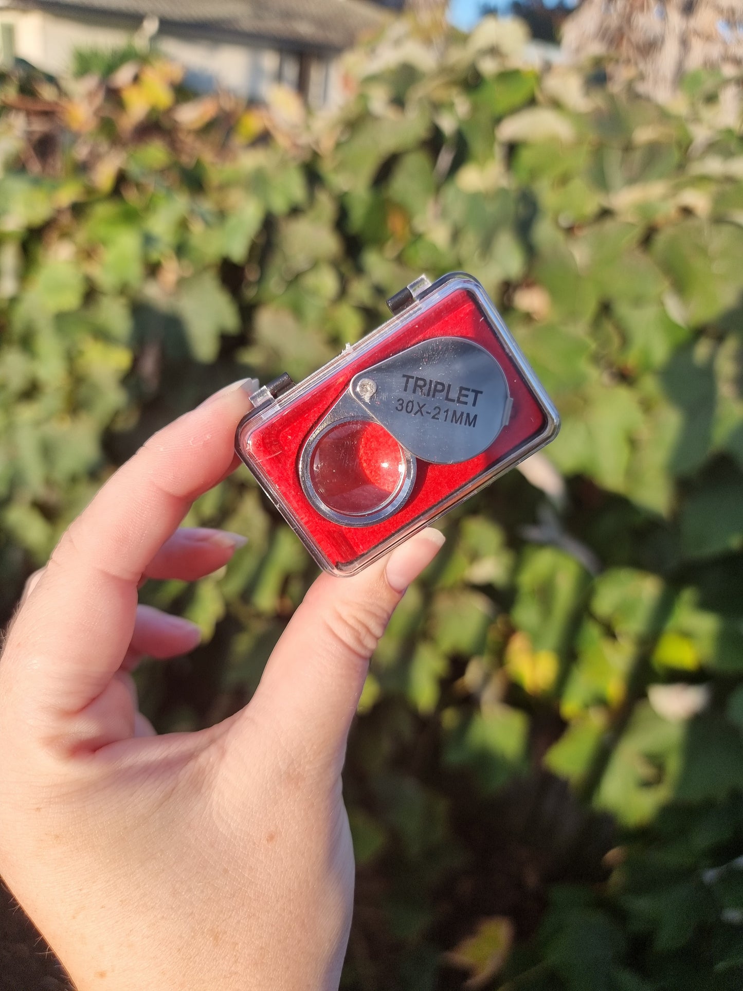 Jewelers Loupe For Amber bugs
