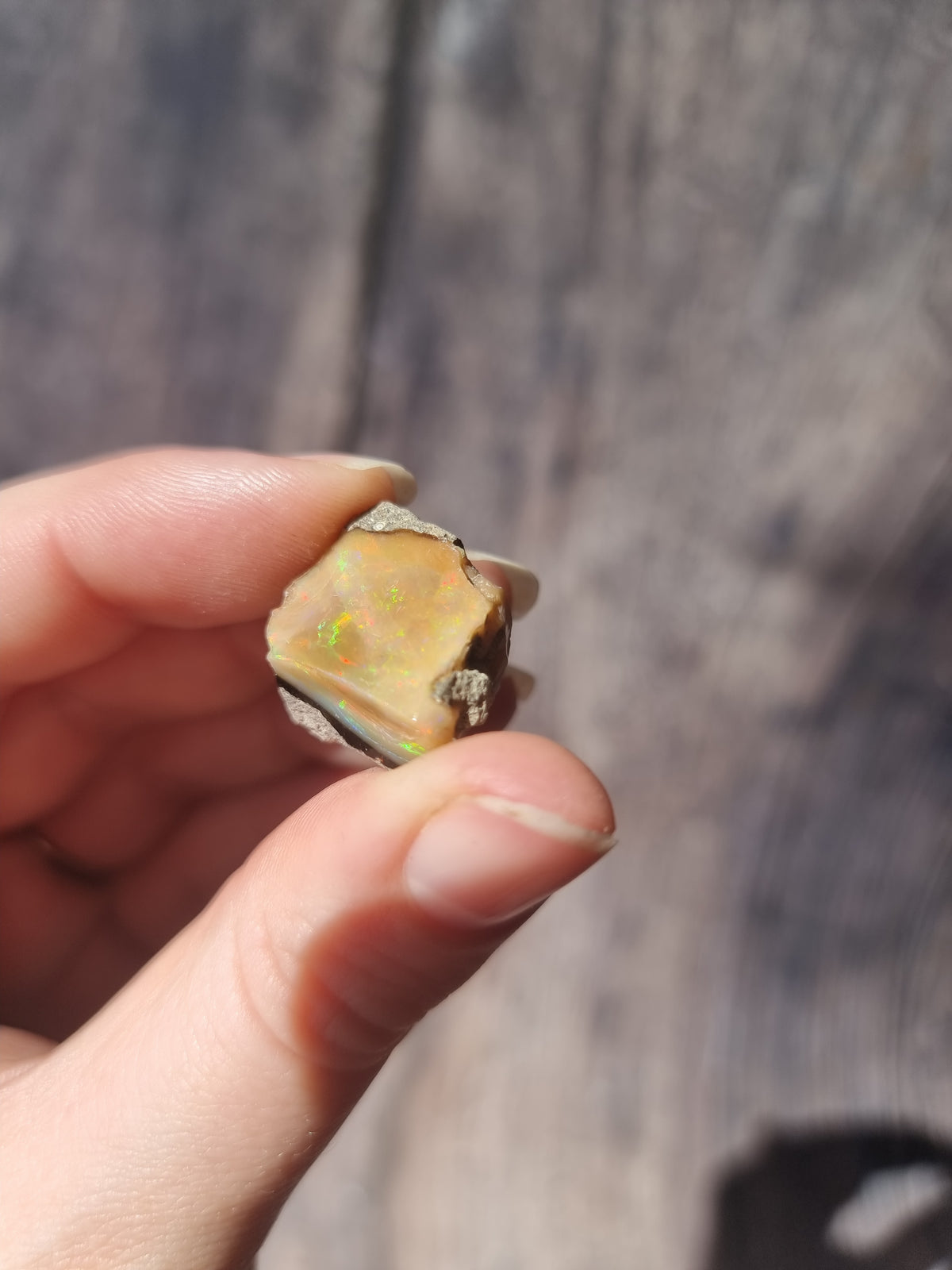 Ethiopian Opal #1