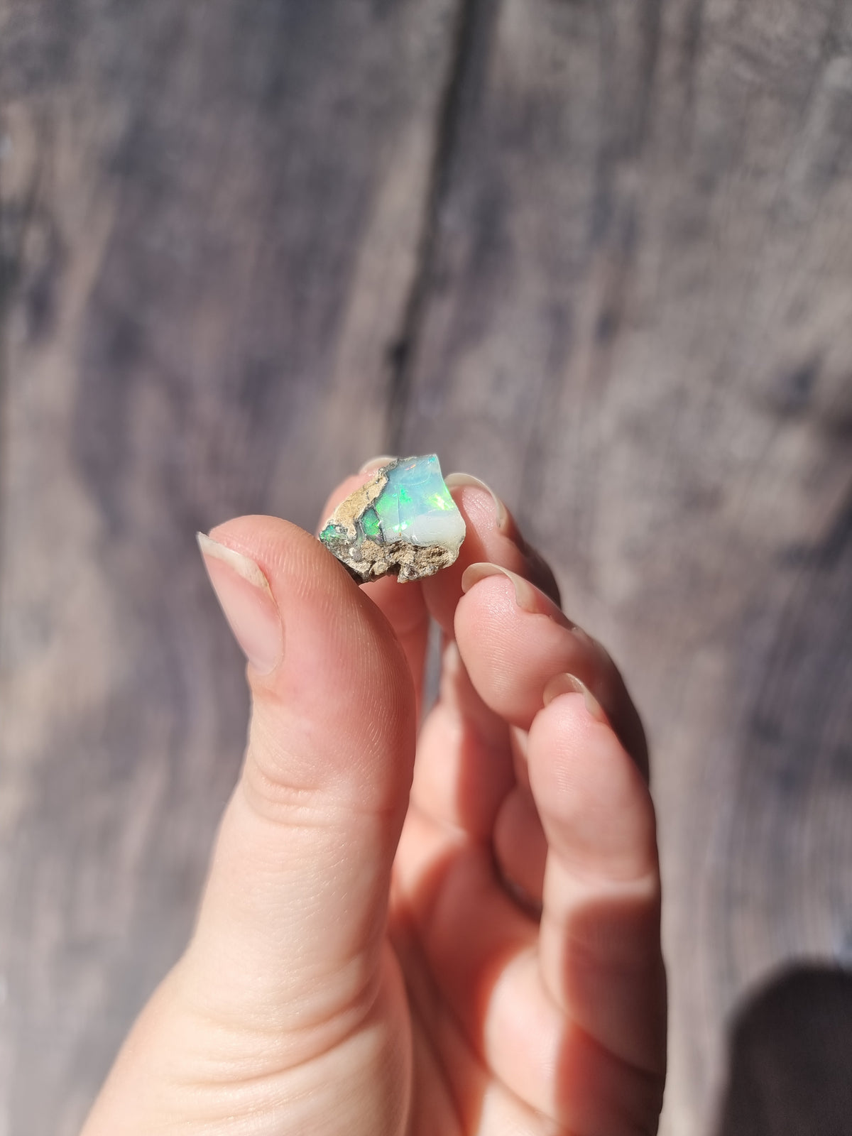 Ethiopian Opal #4