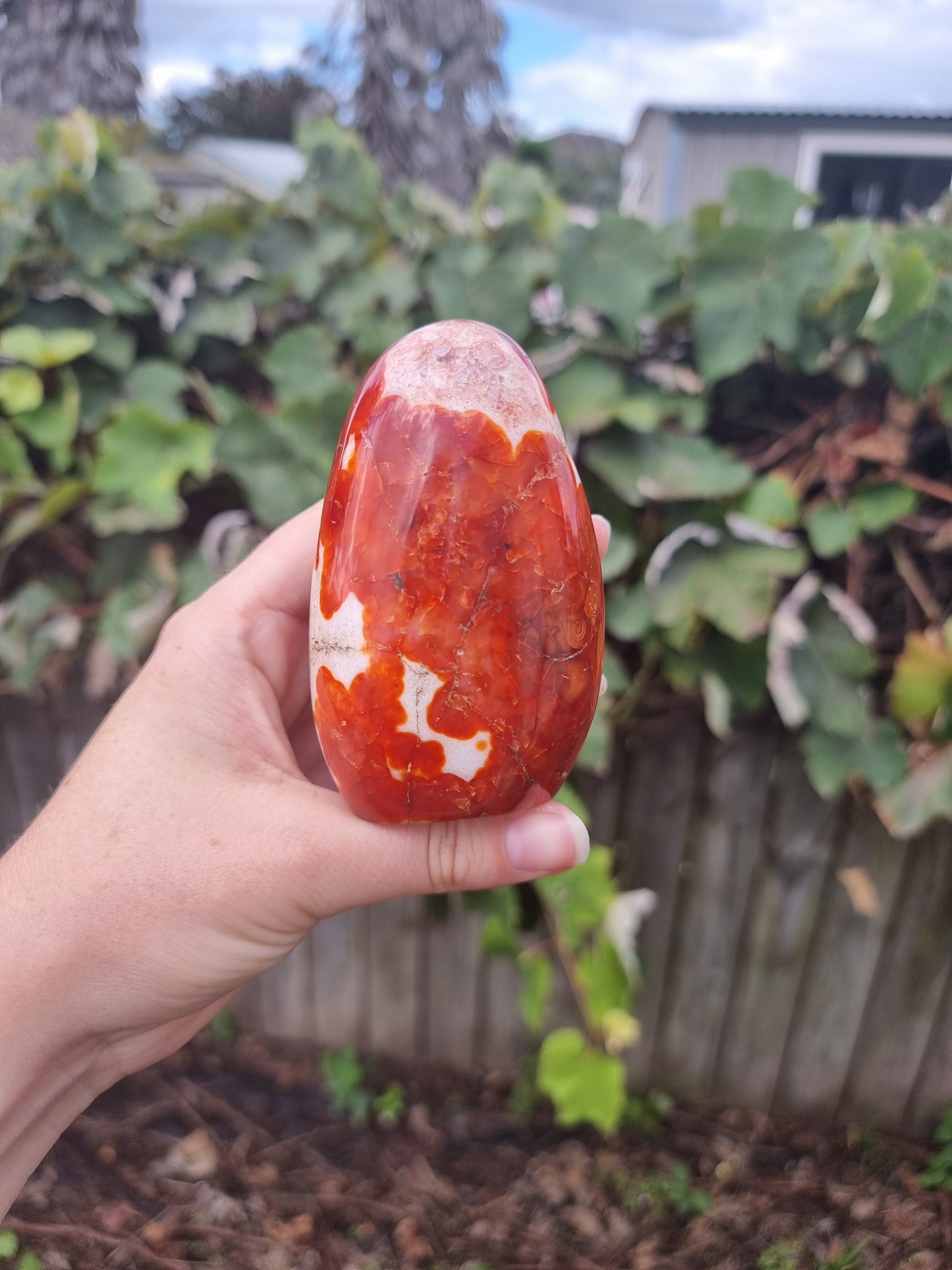Carnelian Free Form #3