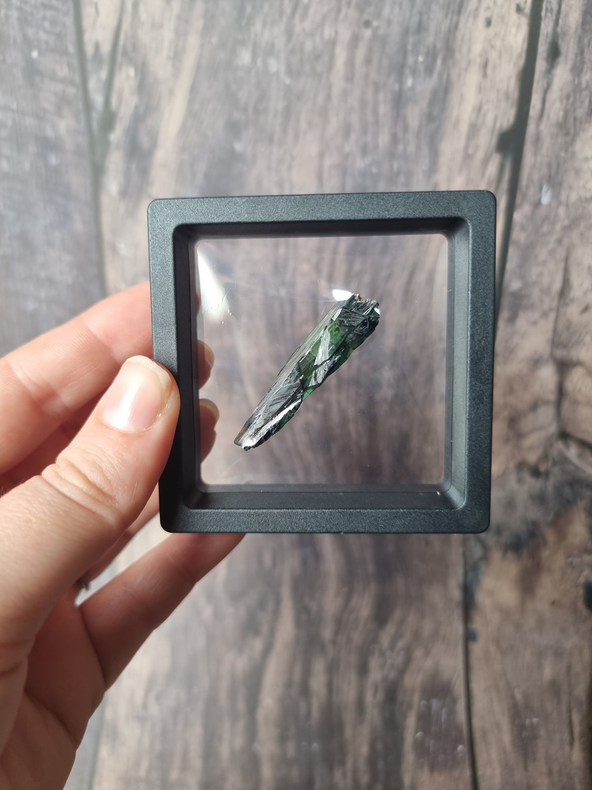 Corpse Crystal (Vivianite) #5.1