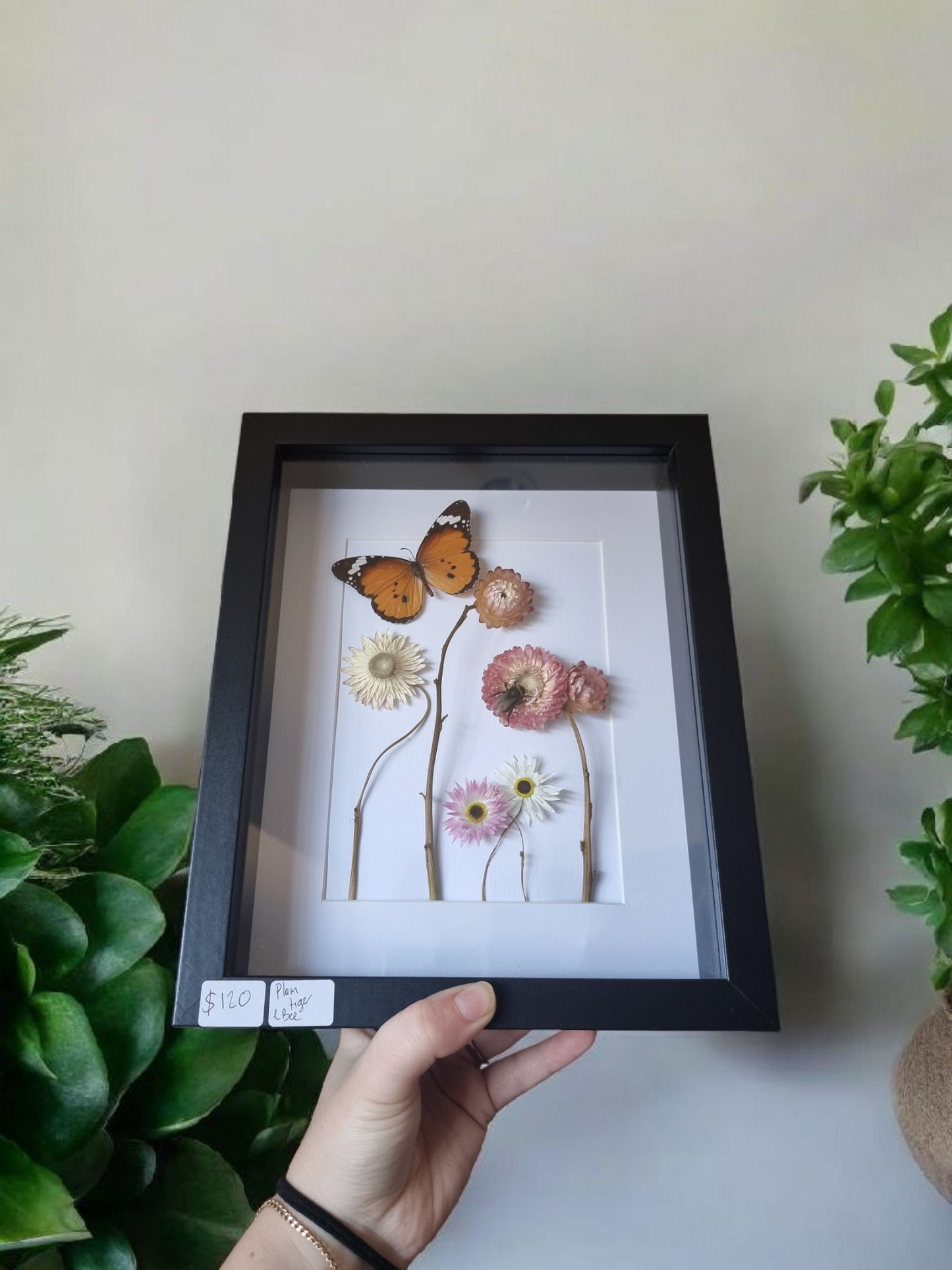 Framed Flowers and Butterfly #1