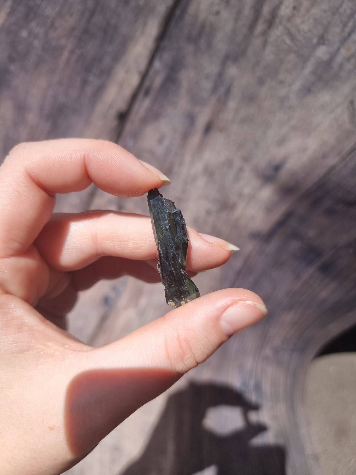 Corpse Crystal (Vivianite) #3