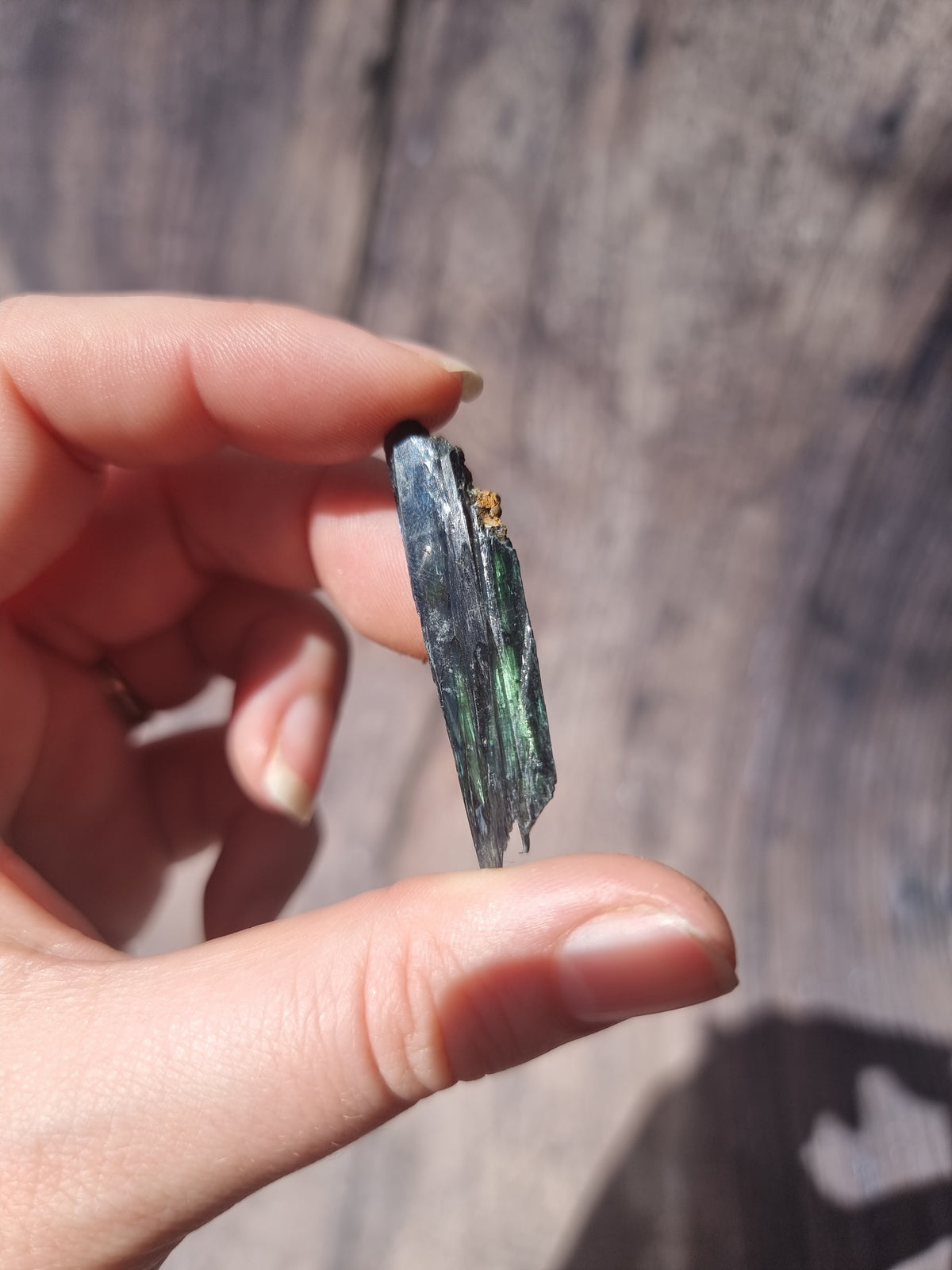 Corpse Crystal (Vivianite) #4