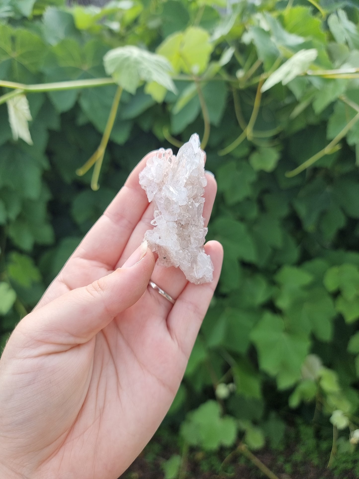Sacred Rose Lithium Quartz #1