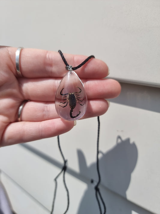 Scorpion Necklace