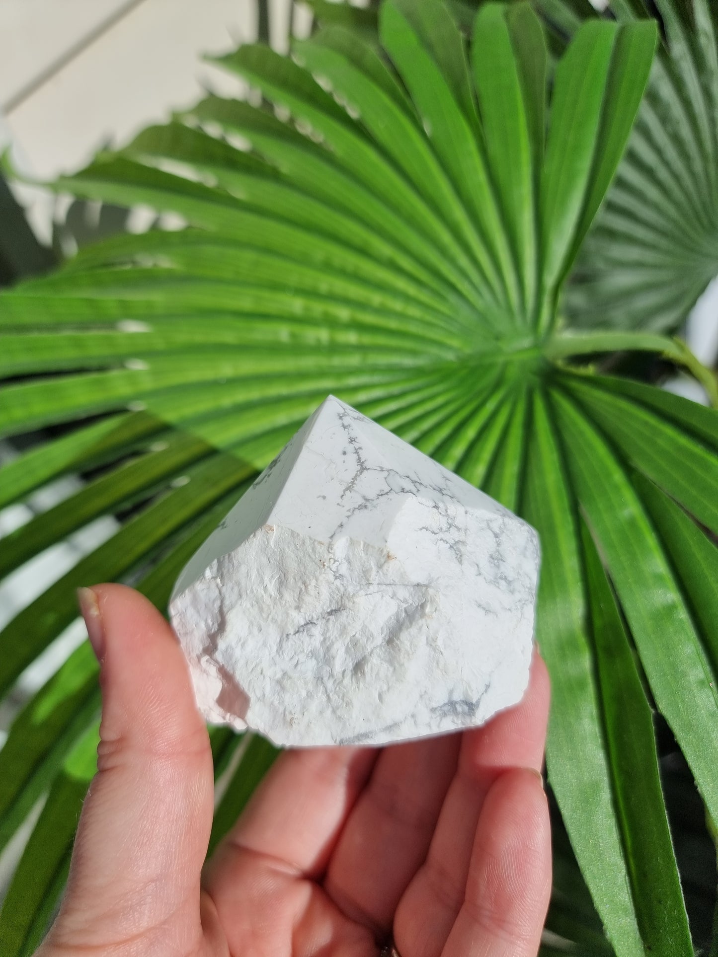 Howlite Half Polished Point #2