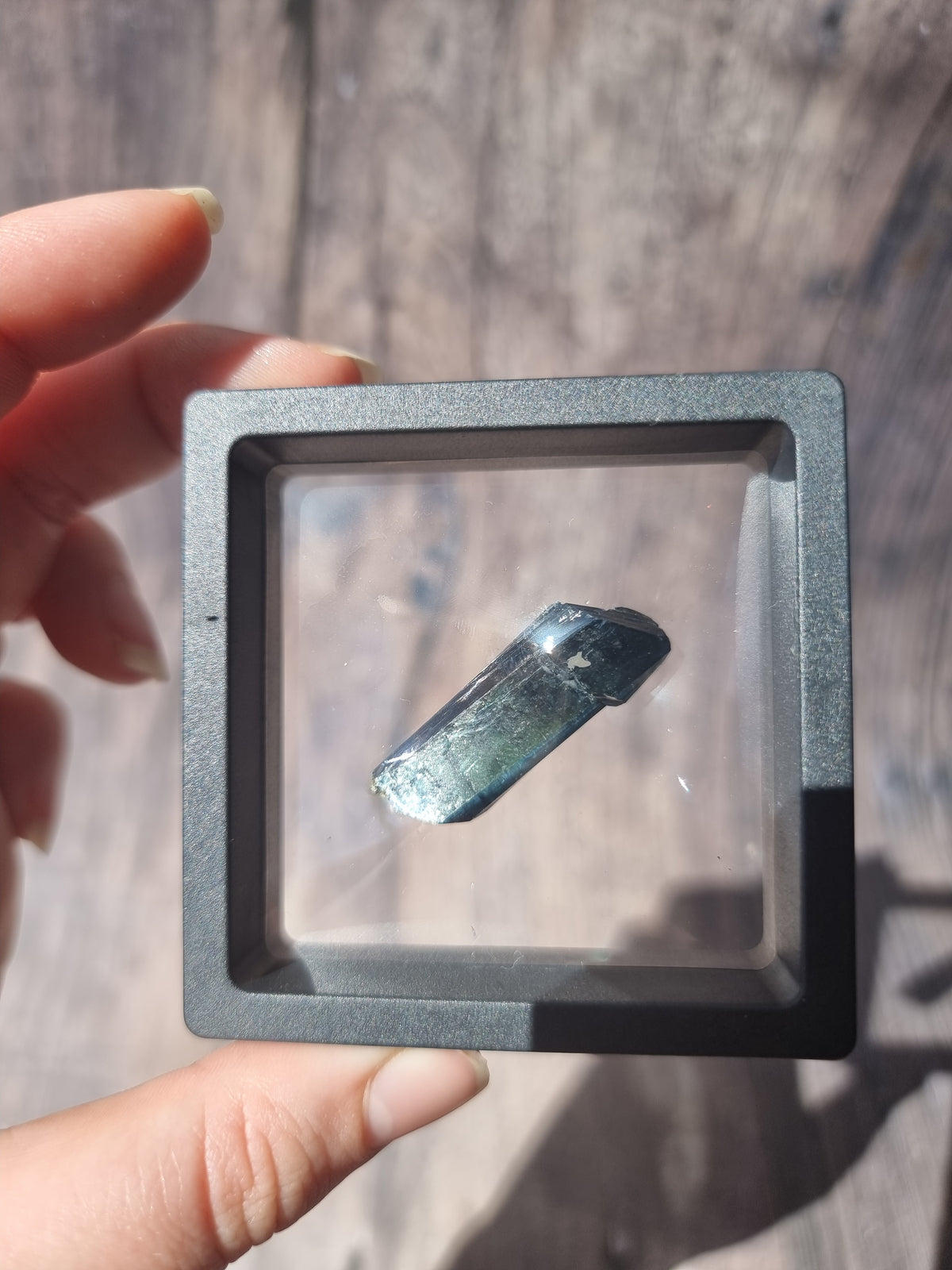Corpse Crystal (Vivianite) #5