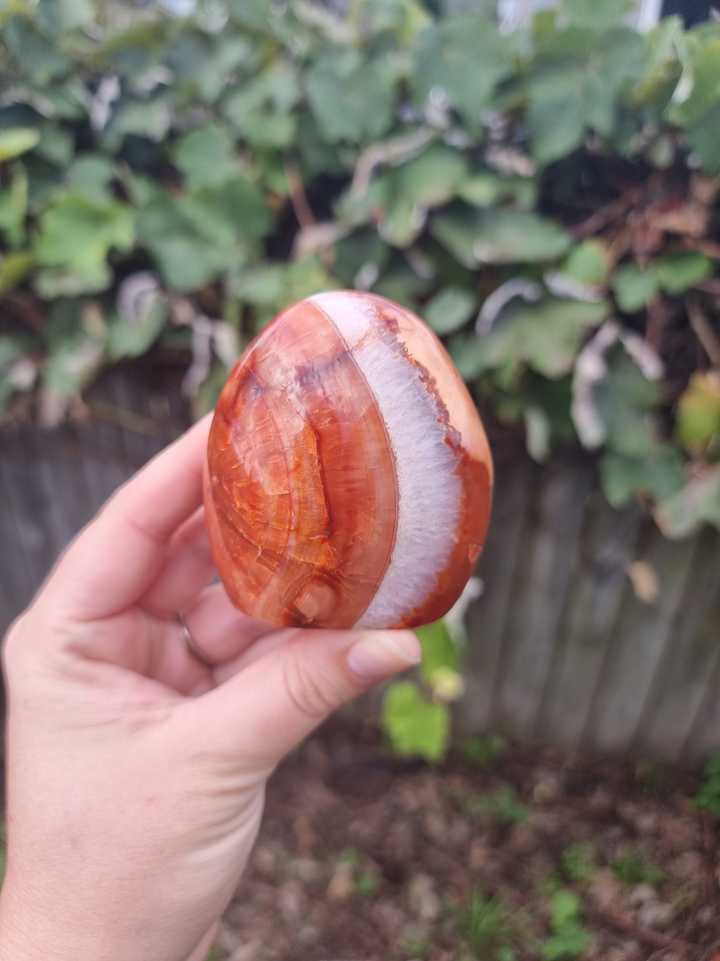 Carnelian Free Form #1