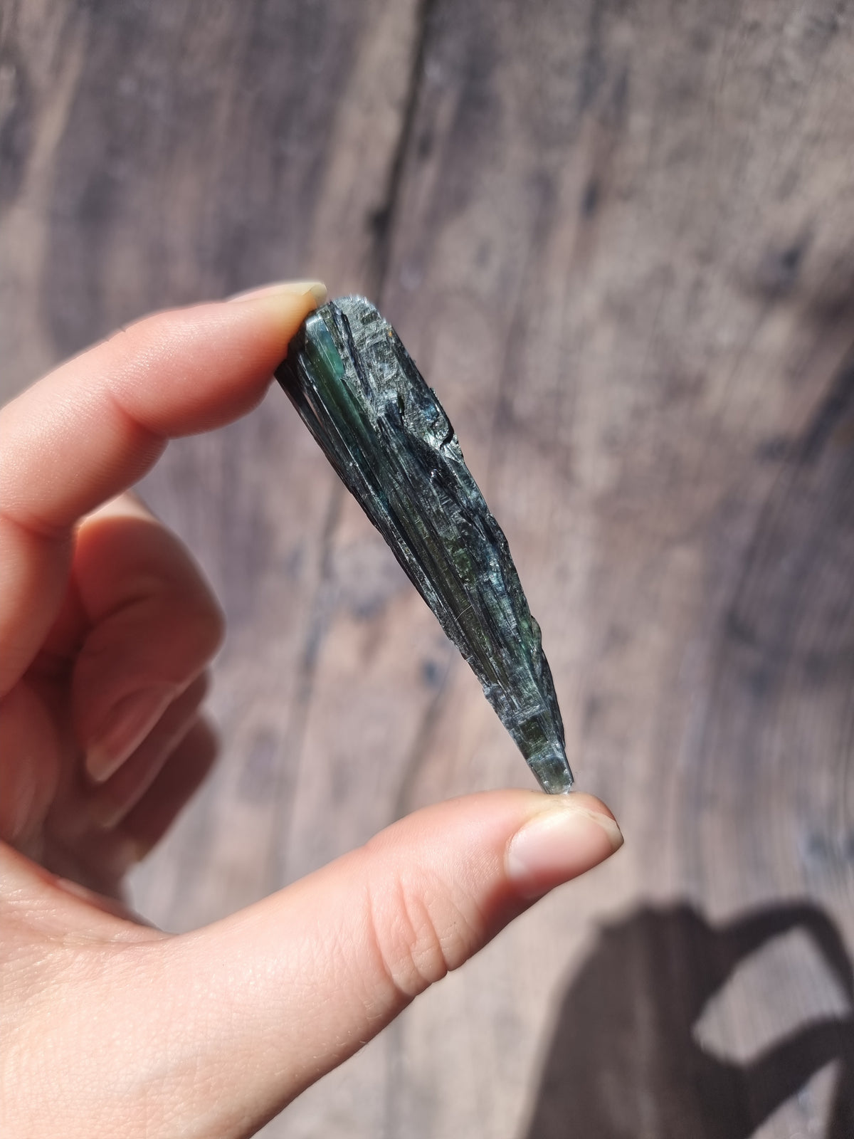 Corpse Crystal (Vivianite) #8