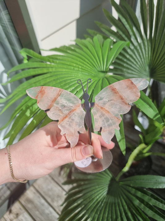 Fire Quartz Butterfly wings on stand