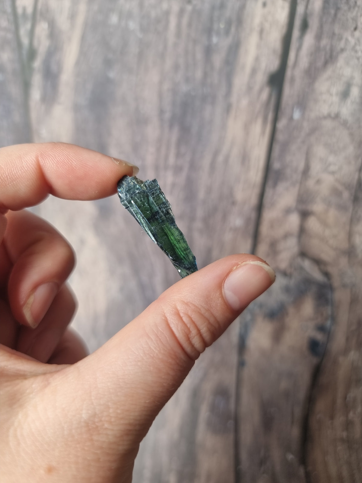 Corpse Crystal (Vivianite) #8.1