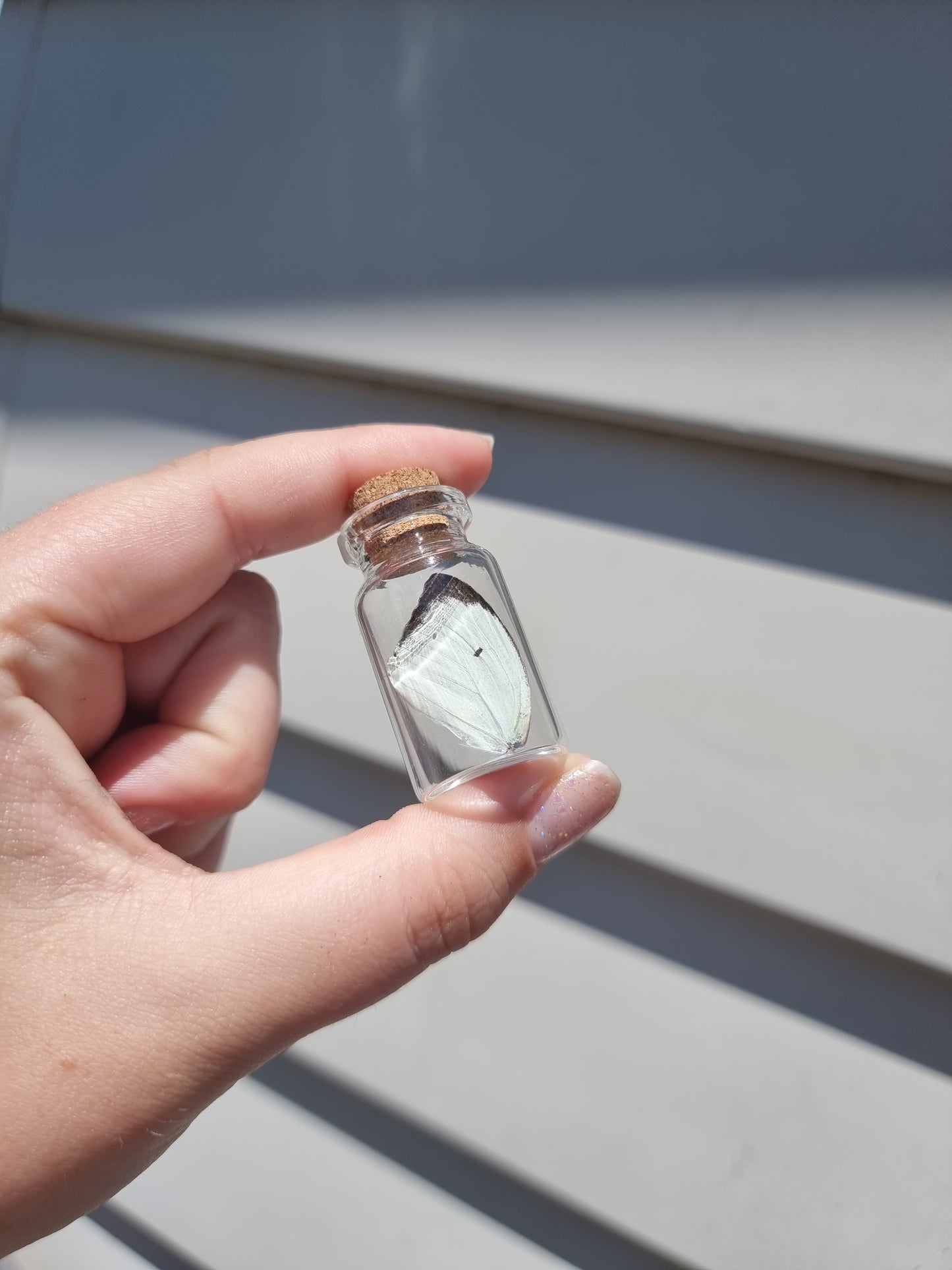 Small Butterfly Wing Jar #2