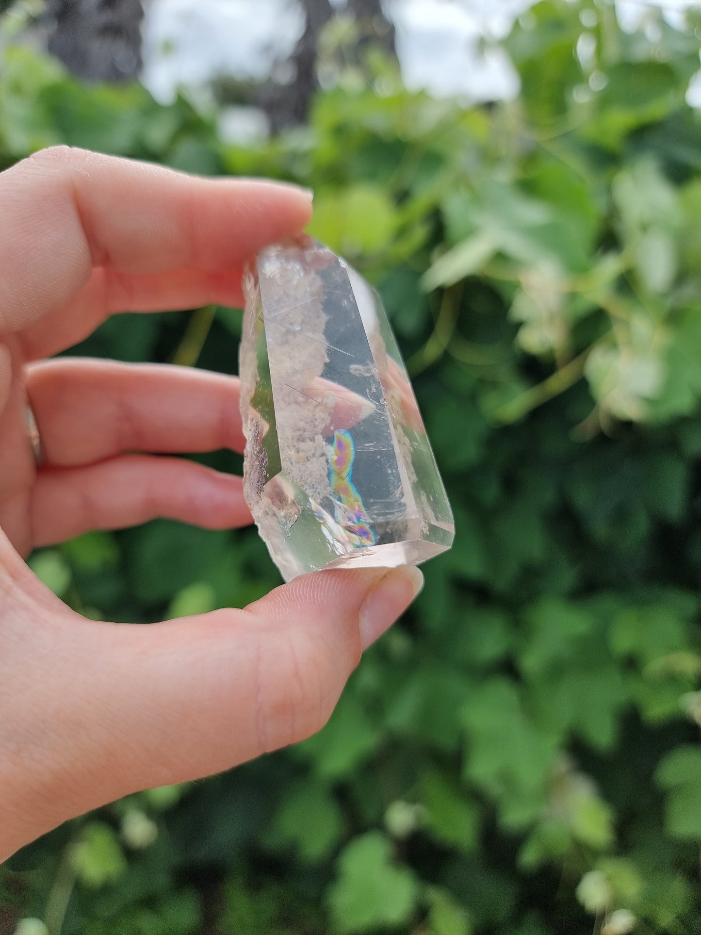 Garden Quartz/Lodolite With Rutiles Point #1