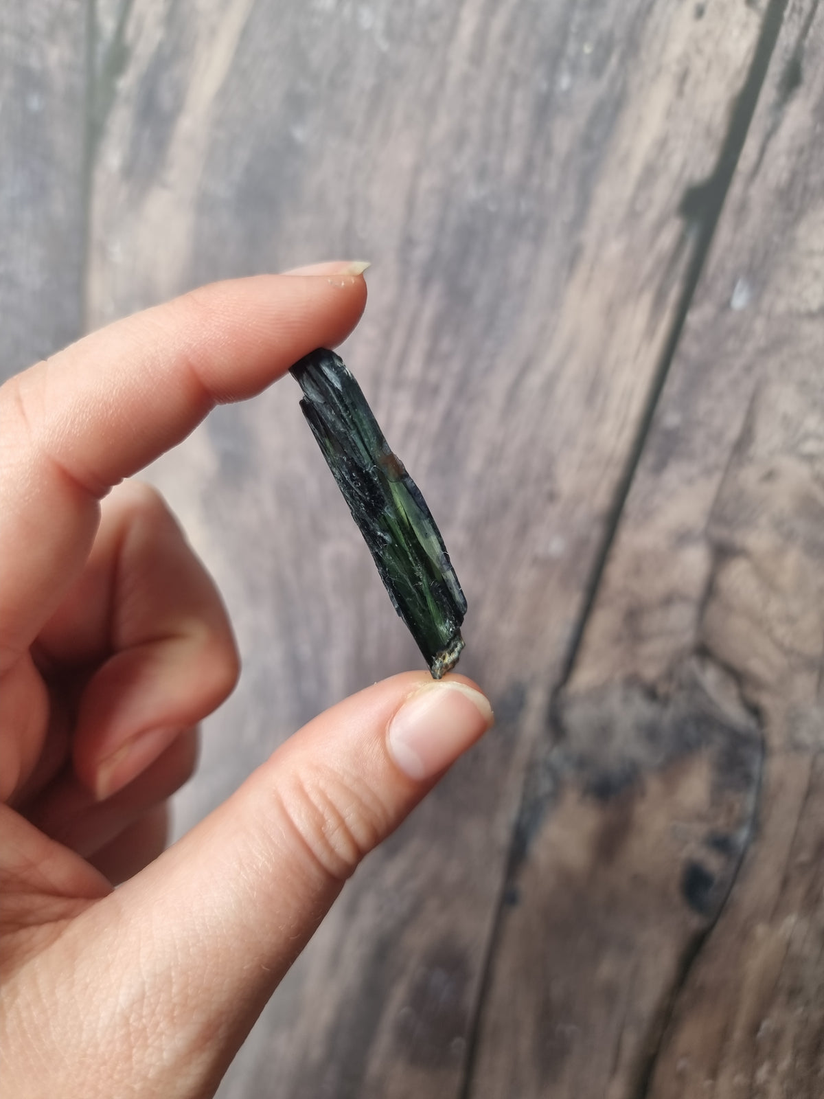 Corpse Crystal (Vivianite) #4