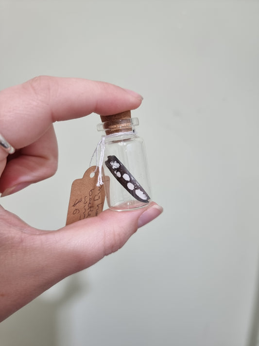 Long Horn Beetle Wing Small Jar