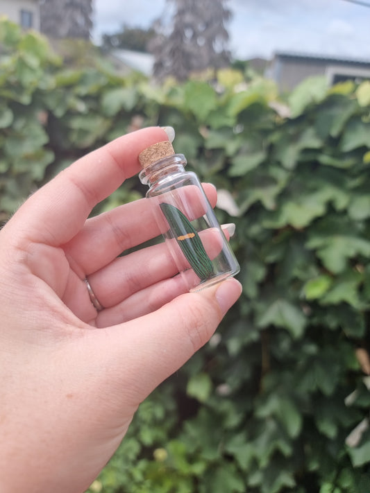 Jewel Beetle Wing Jar Medium #1