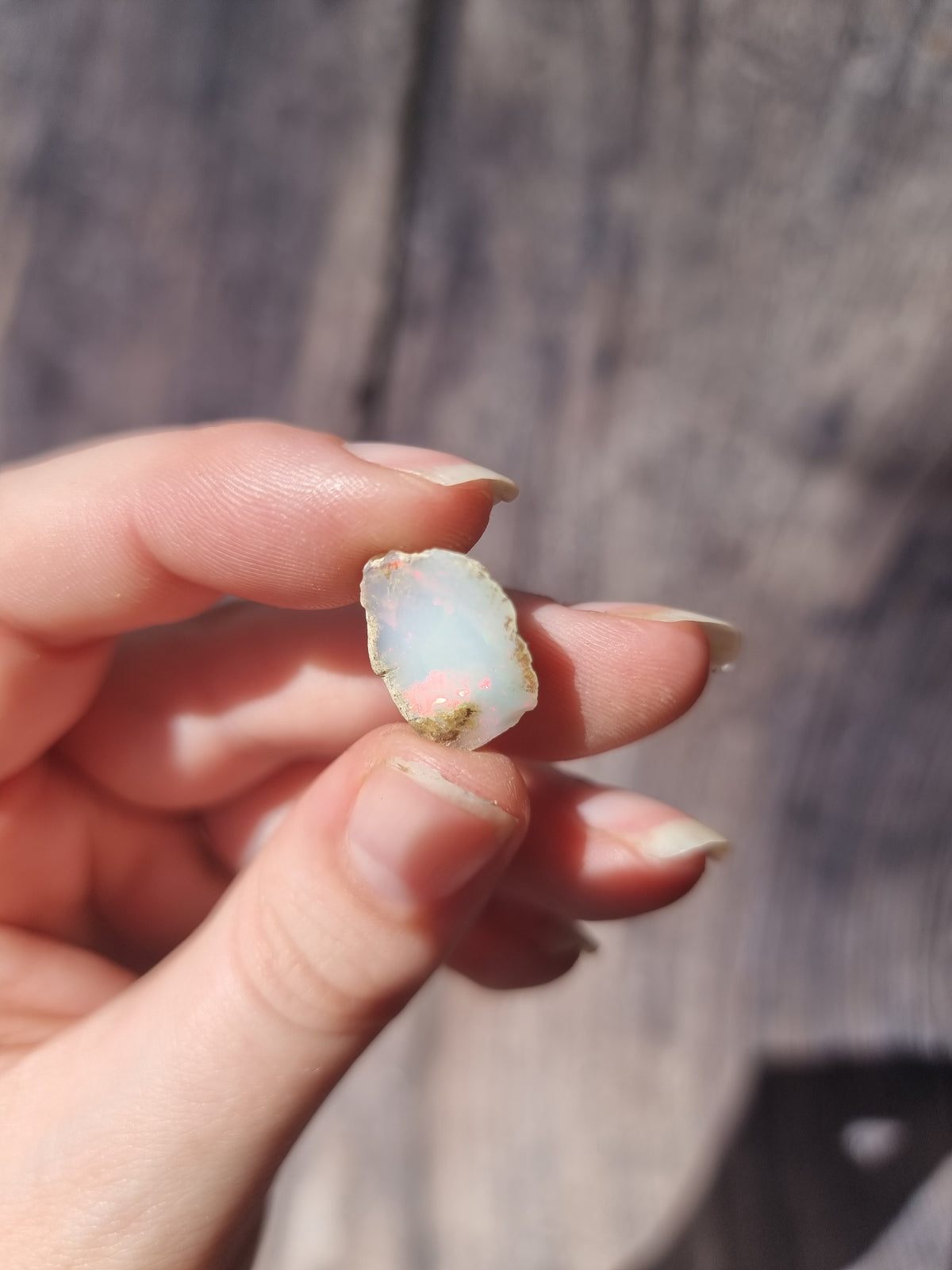 Ethiopian Opal #2