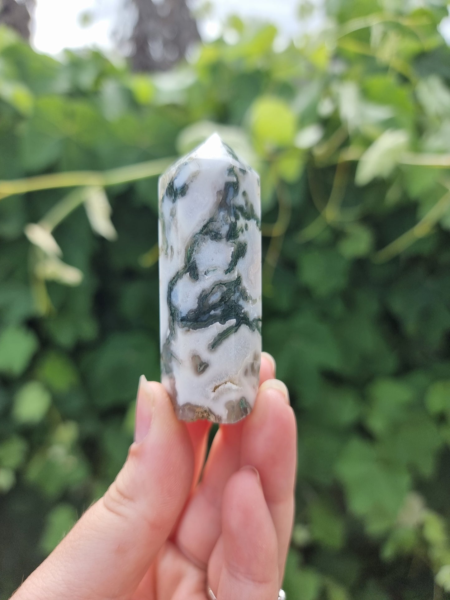 Tree Agate Point #1