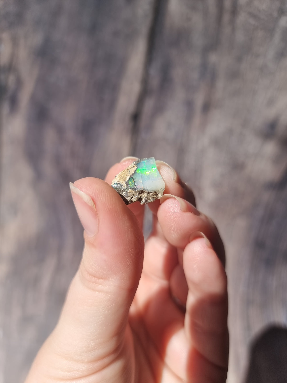 Ethiopian Opal #4