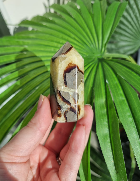 Septarian point #1