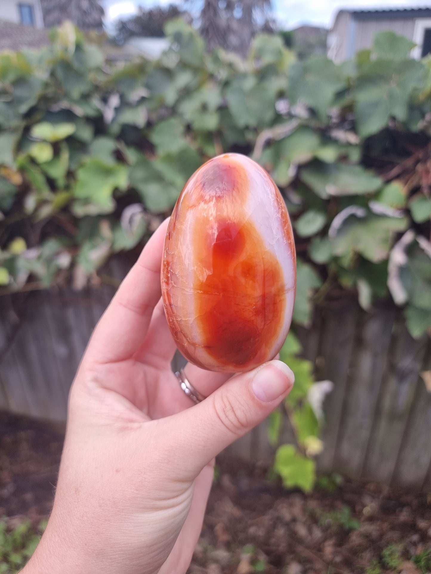 Carnelian Free Form #2