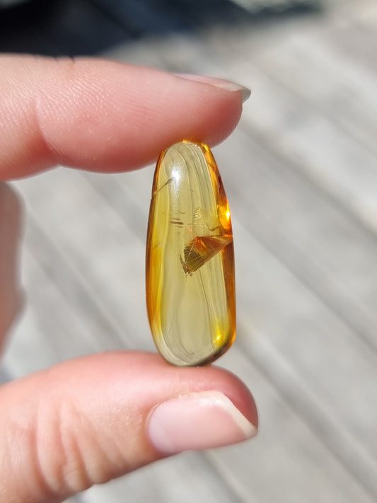 Bug In Amber #3