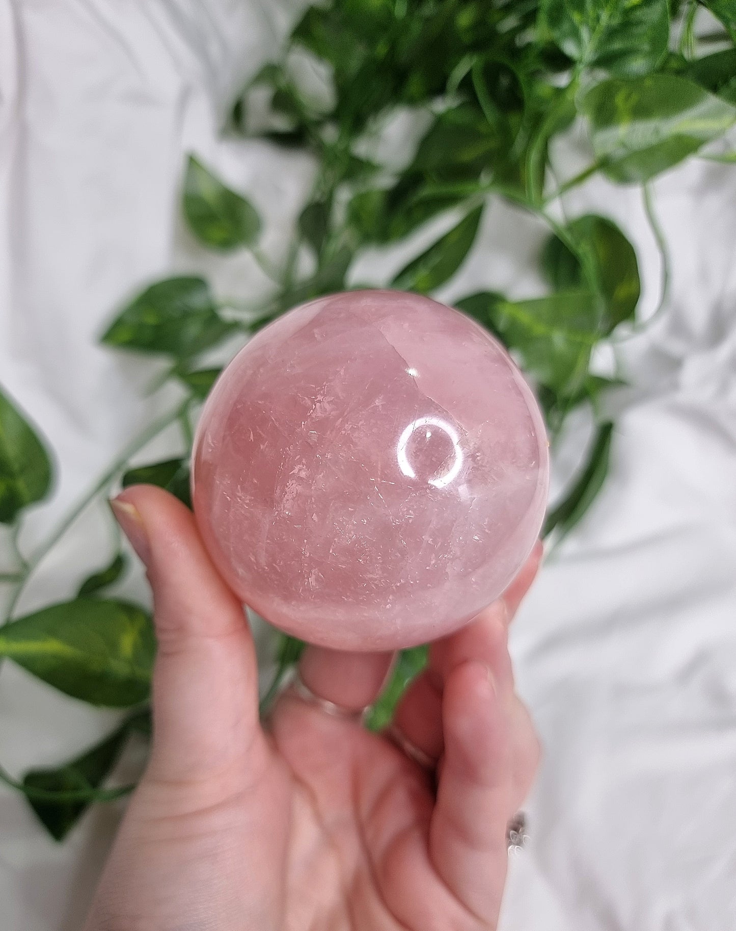 Star Rose Quartz Sphere