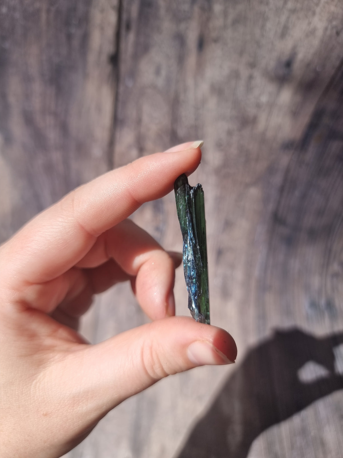 Corpse Crystal (Vivianite) #6