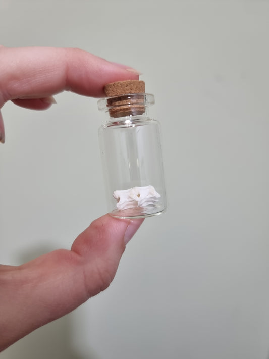 Rattle Snake Vert small Jar