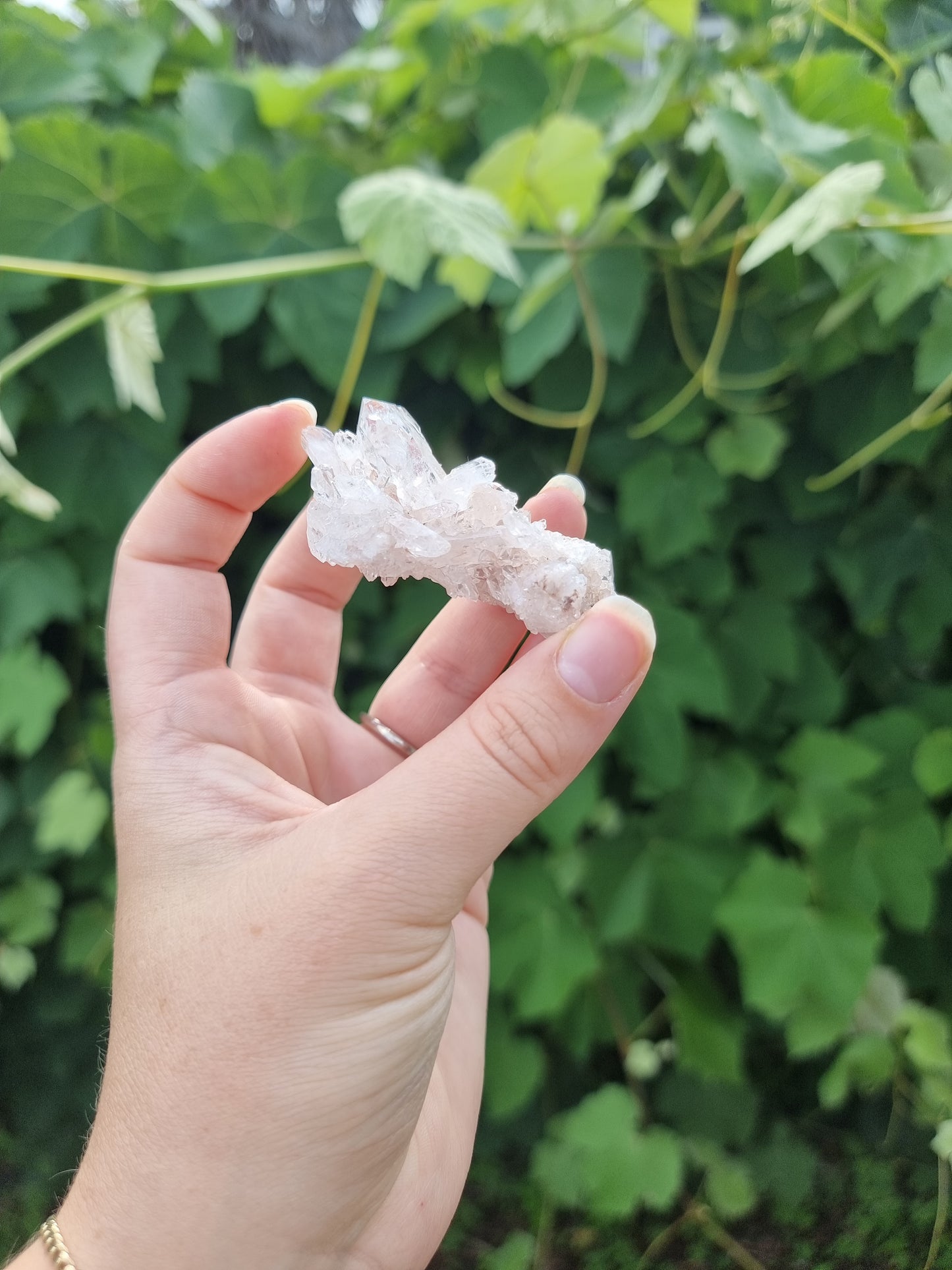 Sacred Rose Lithium Quartz #1