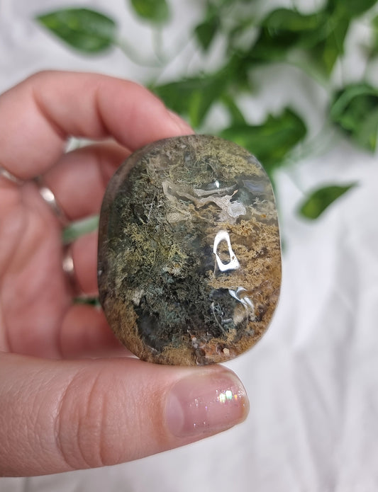 Moss Agate Palm #3