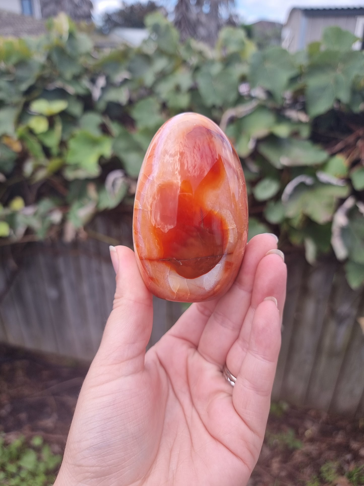Carnelian Free Form #2