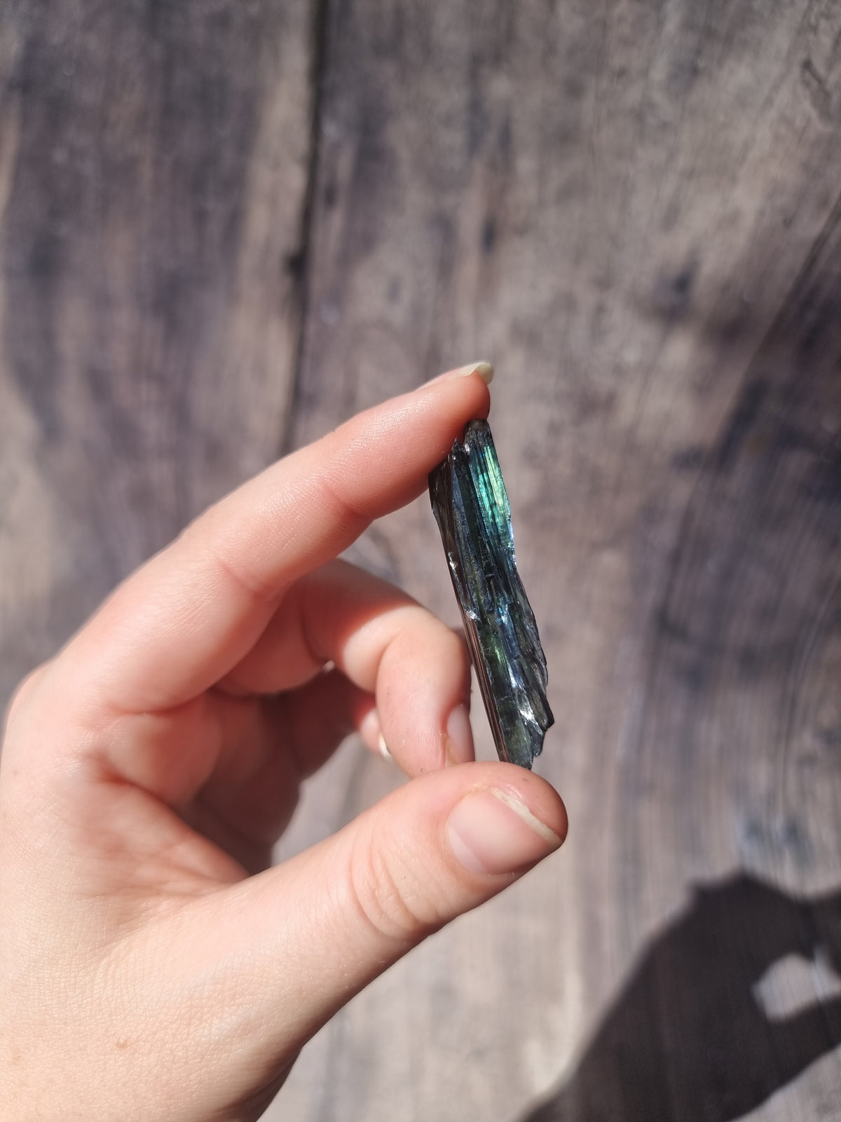 Corpse Crystal (Vivianite) #6