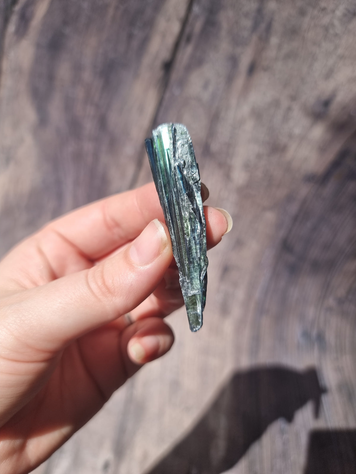 Corpse Crystal (Vivianite) #8