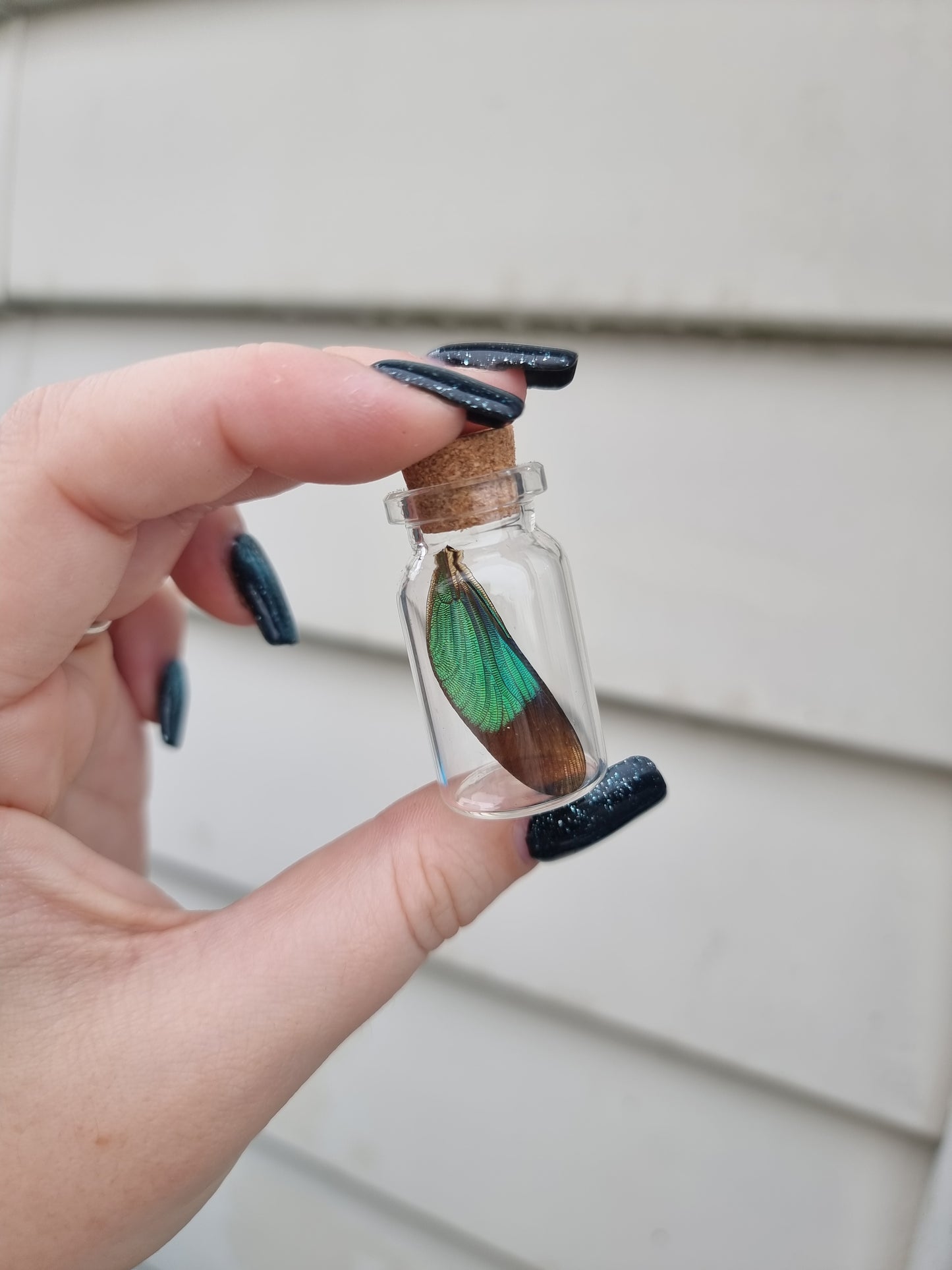 Small Dragonfly Wing Jar Green