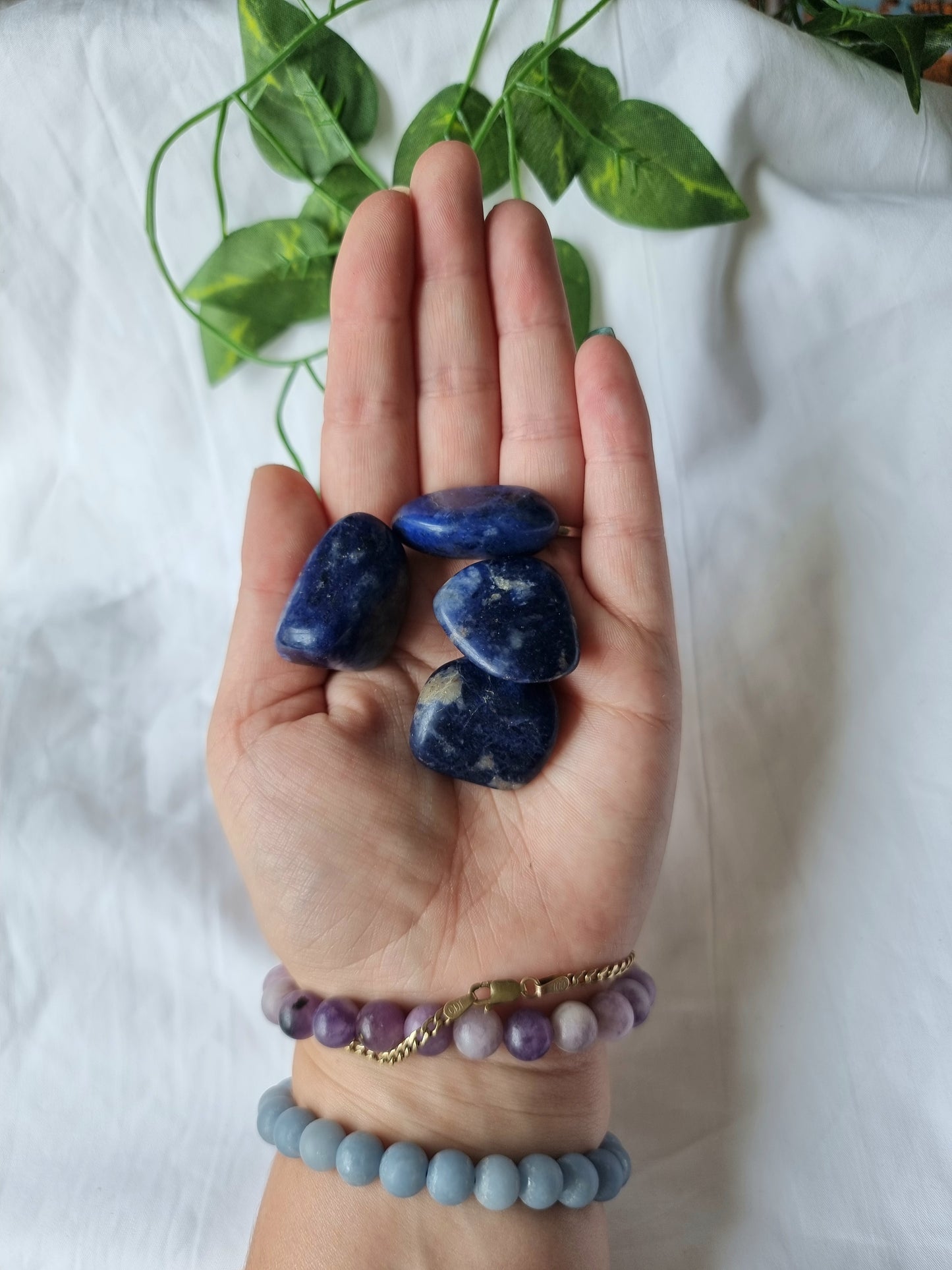 High Quality Sodalite Tumbles