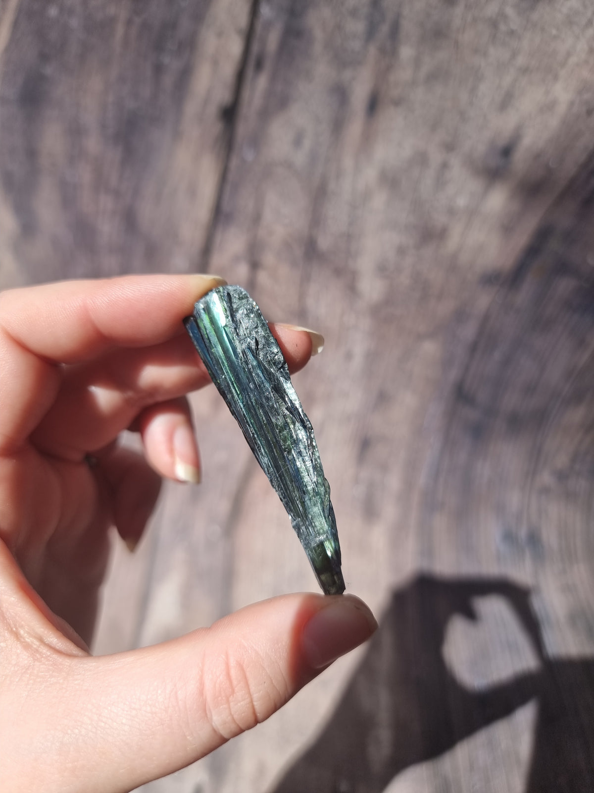 Corpse Crystal (Vivianite) #8