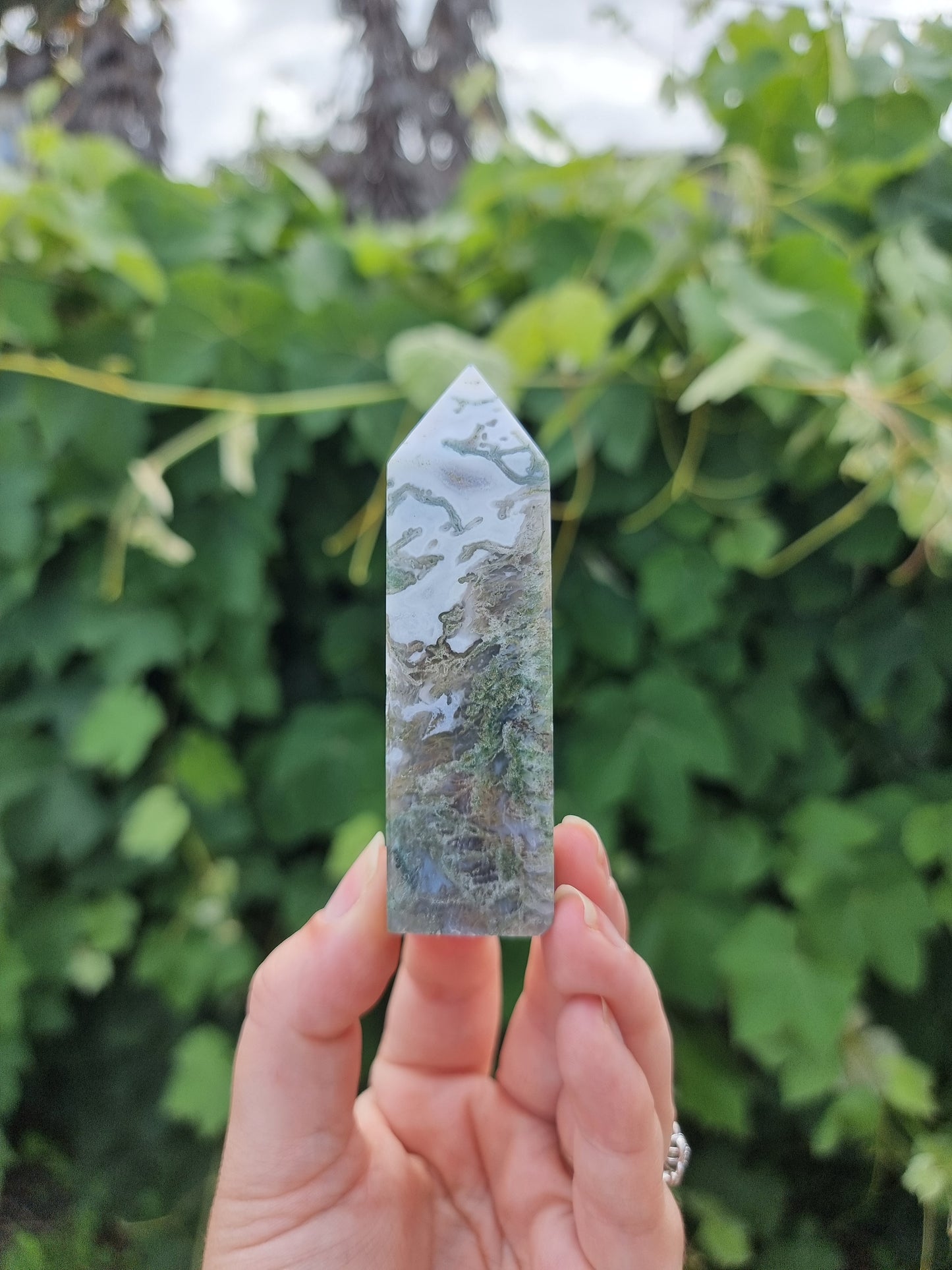 Moss Agate Point #4