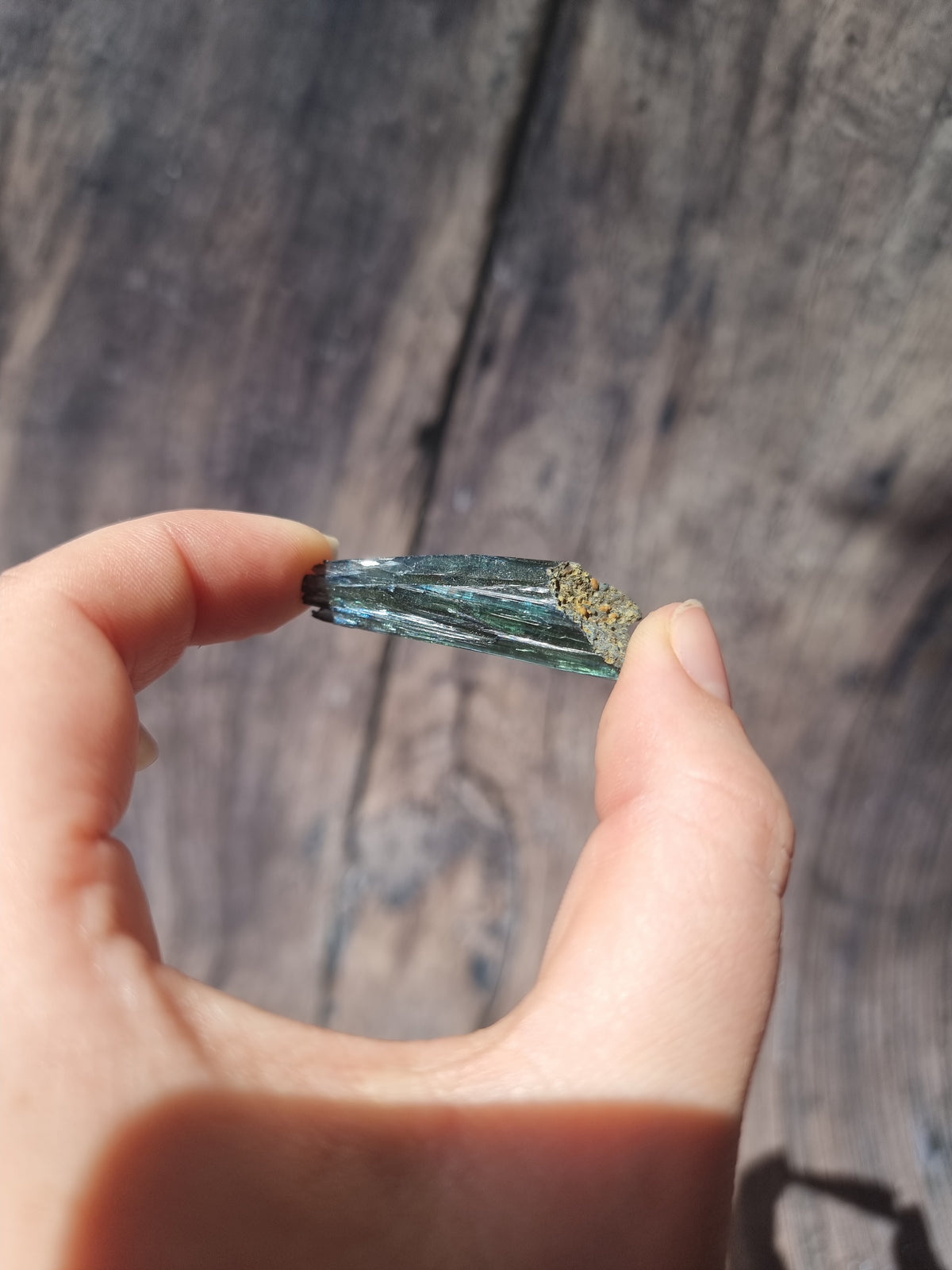Corpse Crystal (Vivianite) #7