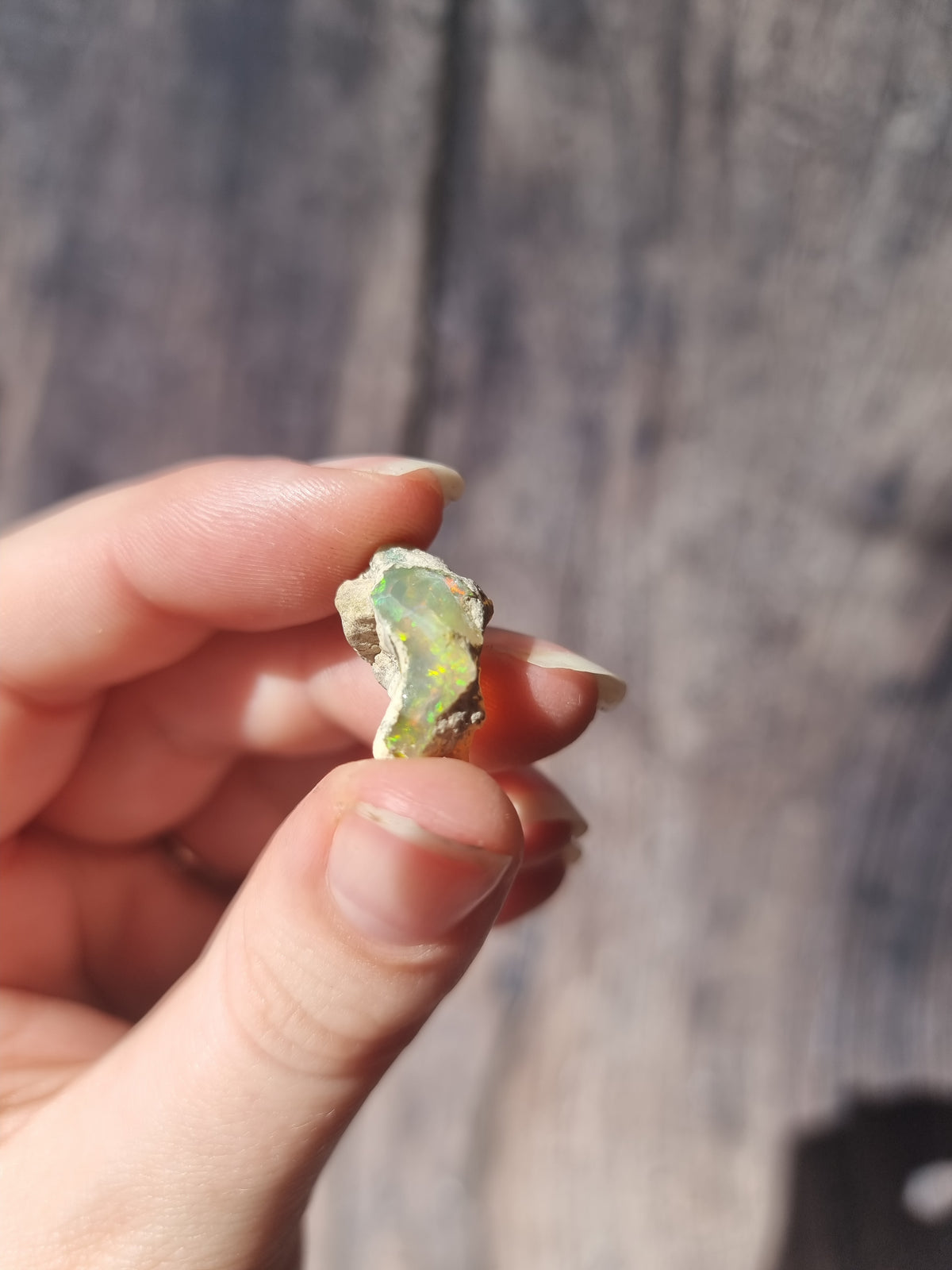 Ethiopian Opal #3