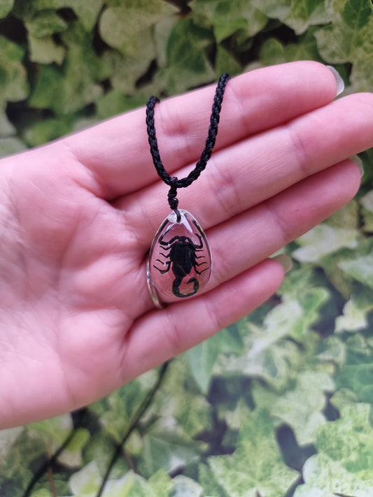 Black Scorpion Ajustable Resin Necklace