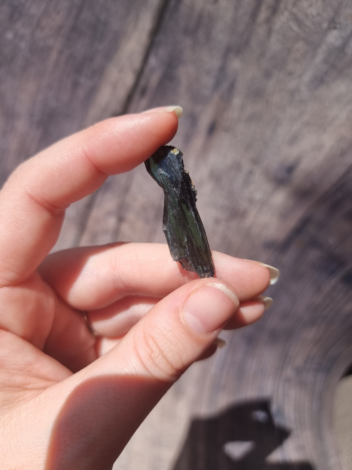 Corpse Crystal (Vivianite) #3