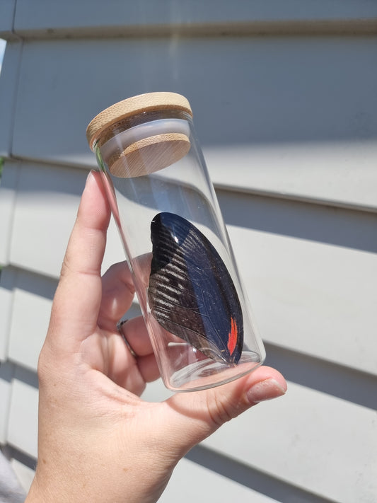 Extra Large Wing Jar #2