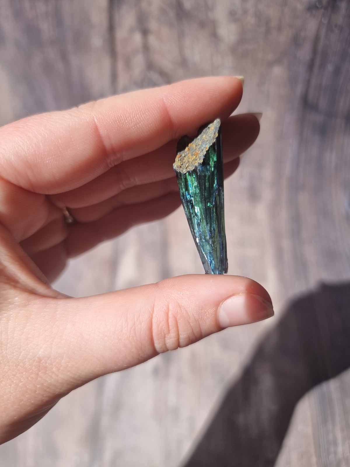 Corpse Crystal (Vivianite) #7